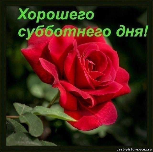 http://content-8.foto.mail.ru/mail/gnina1993/3d-galleru.ru/s-2149.jpg